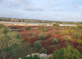 38.jpg - Rustico Via Vanella 39 18, Modica - foto 22