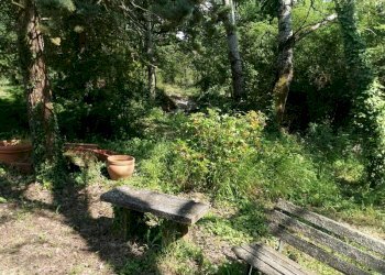 Casa indipendente Castel San Pietro Terme - foto 11