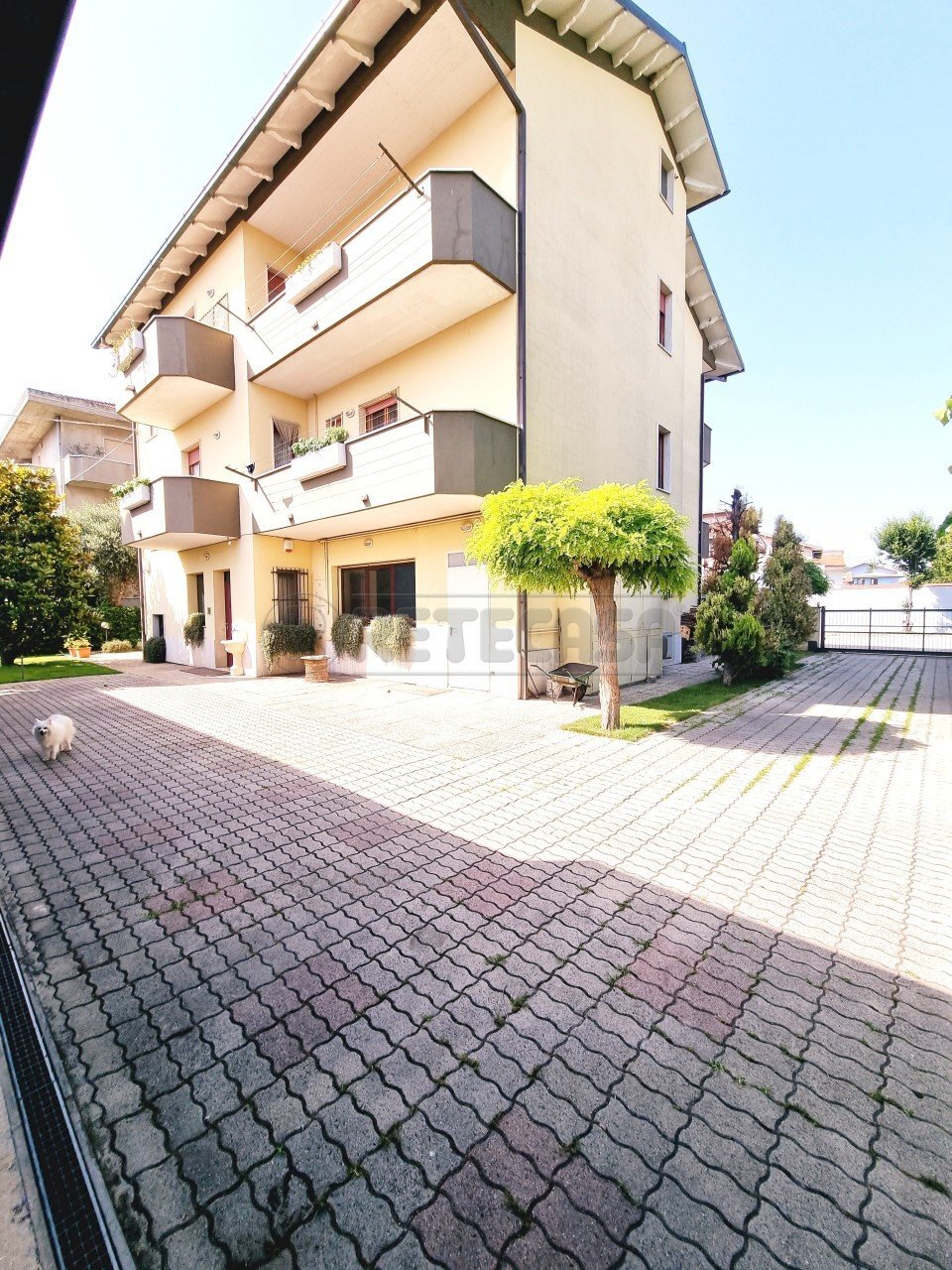 20230620_093455.jpg - Independent house Pescara - photo 3