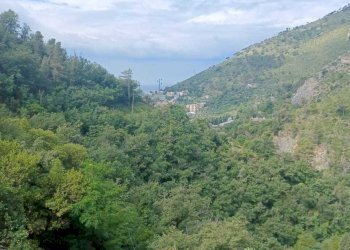 IMG-20230619-WA0018.jpg - Terreno agricolo Via Molinetti di Nervi 31, Genova - foto 5