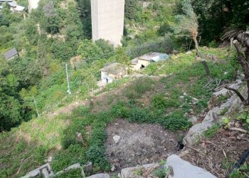 IMG-20230619-WA0016.jpg - Terreno agricolo Via Molinetti di Nervi 31, Genova - foto 18