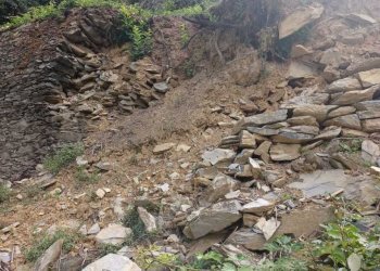 IMG-20230619-WA0017.jpg - Terreno agricolo Via Molinetti di Nervi 31, Genova - foto 6