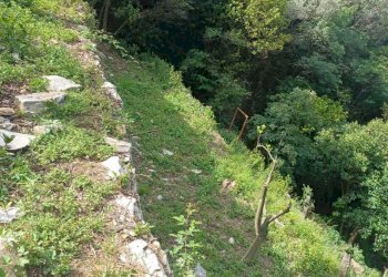 IMG-20230619-WA0011.jpg - Terreno agricolo Via Molinetti di Nervi 31, Genova - foto 13