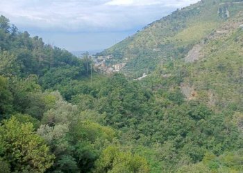 IMG-20230619-WA0015.jpg - Terreno agricolo Via Molinetti di Nervi 31, Genova - foto 7