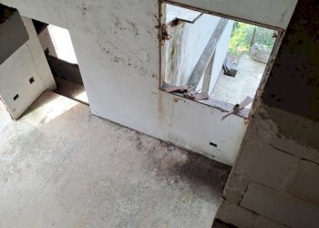 20230612_101924.jpg - Terreno agricolo Via Molinetti di Nervi 31, Genova - foto 23