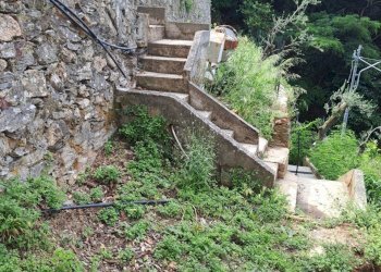 20230612_102016.jpg - Terreno agricolo Via Molinetti di Nervi 31, Genova - foto 14