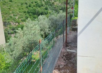 20230612_102541.jpg - Terreno agricolo Via Molinetti di Nervi 31, Genova - foto 15