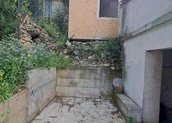 20230612_102155.jpg - Terreno agricolo Via Molinetti di Nervi 31, Genova - foto 16