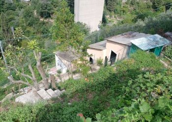 IMG-20230619-WA0009.jpg - Terreno agricolo Via Molinetti di Nervi 31, Genova - foto 1