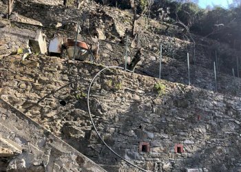 IMG-20230627-WA0057.jpg - Terreno agricolo Via Molinetti di Nervi 31, Genova - foto 11