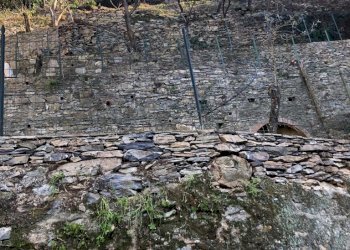 IMG-20230627-WA0059.jpg - Terreno agricolo Via Molinetti di Nervi 31, Genova - foto 21