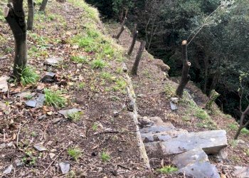 IMG-20230627-WA0063.jpg - Terreno agricolo Via Molinetti di Nervi 31, Genova - foto 27