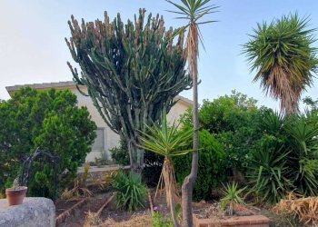 29.jpeg - Rustico Strada Provinciale 33 2, Modica - foto 16