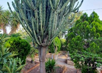 32.jpeg - Rustico Strada Provinciale 33 2, Modica - foto 18