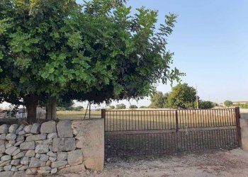 33.jpeg - Rustico Strada Provinciale 33 2, Modica - foto 19