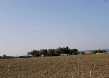 36.jpeg - Rustico Strada Provinciale 33 2, Modica - foto 21