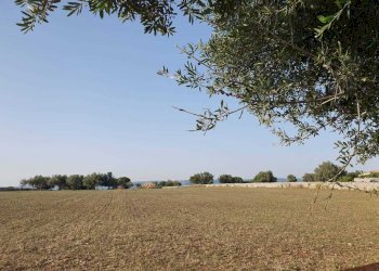 39.jpeg - Rustico Strada Provinciale 33 2, Modica - foto 24