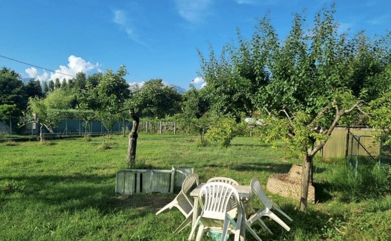 IMG_6113.jpg - Agricultural land Pietrasanta - photo 1