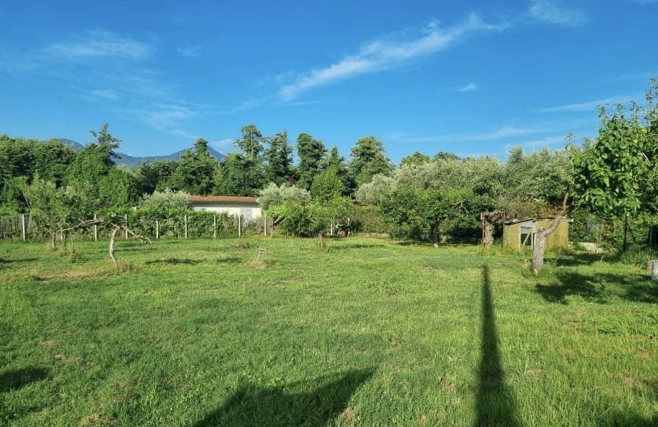 IMG_6114.jpg - Agricultural land Pietrasanta - photo 2
