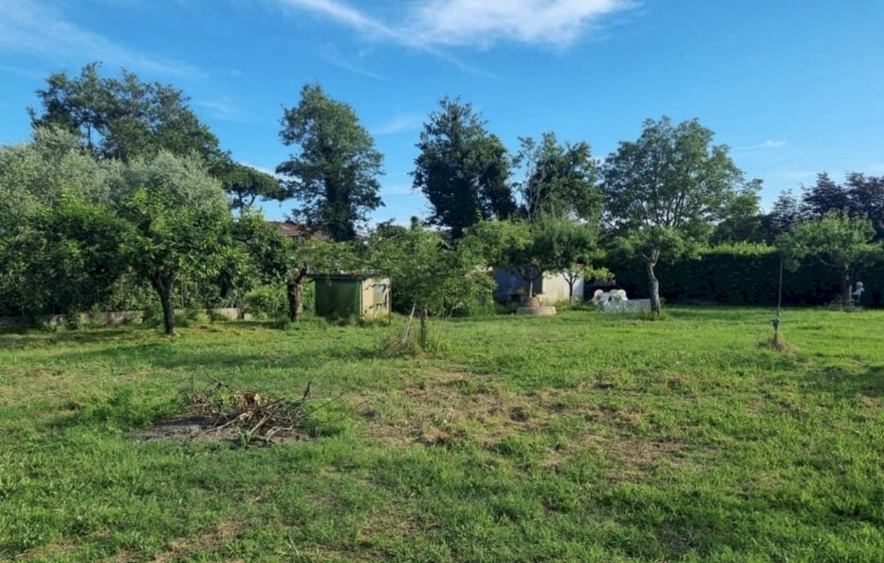 IMG_6115.jpg - Agricultural land Pietrasanta - photo 3