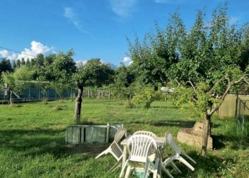 IMG_6113.jpg - Terreno agricolo Pietrasanta - foto 1