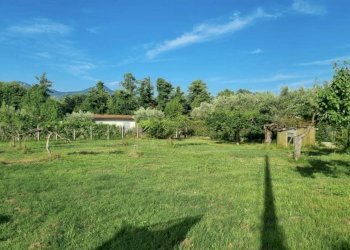 IMG_6114.jpg - Terreno agricolo Pietrasanta - foto 2