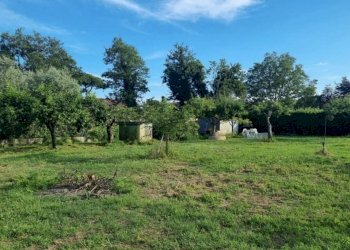 IMG_6115.jpg - Terreno agricolo Pietrasanta - foto 3