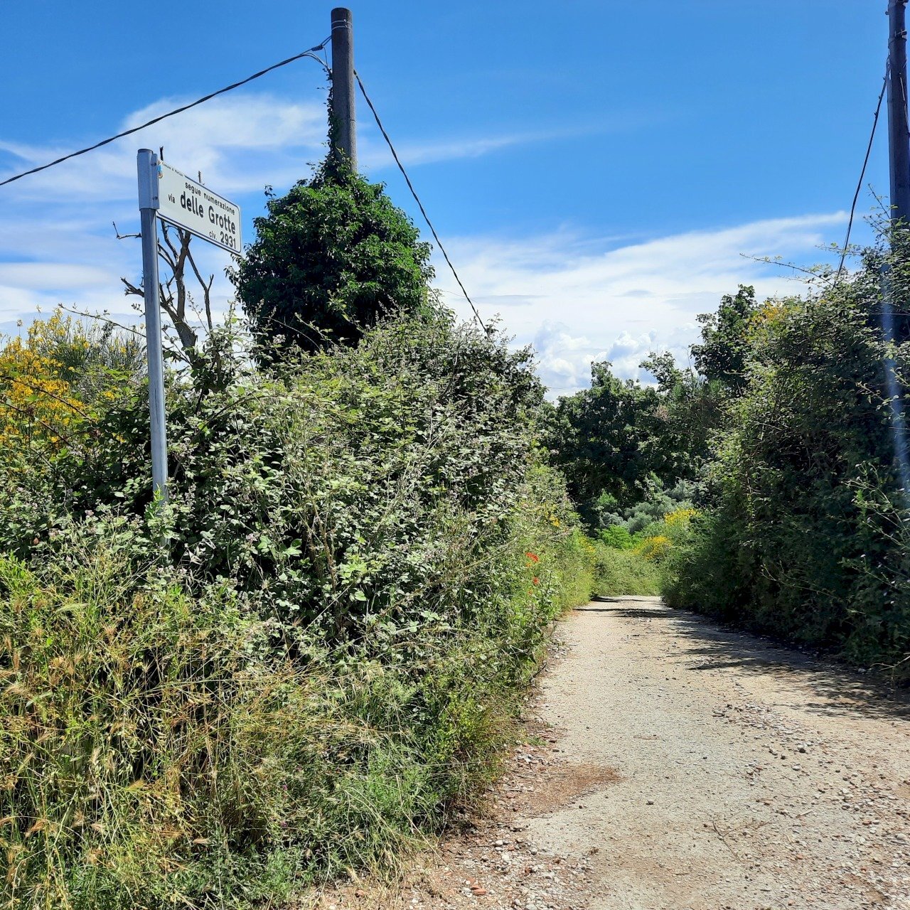 terreno L2.jpg - Terreno agricolo Via delle Grotte 2920, Morlupo - foto 3