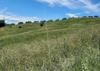 terreno l1.jpg - Terreno agricolo Via delle Grotte 2920, Morlupo - foto 2