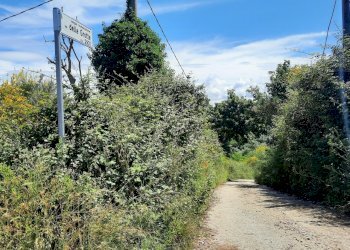 terreno L2.jpg - Terreno agricolo Via delle Grotte 2920, Morlupo - foto 3