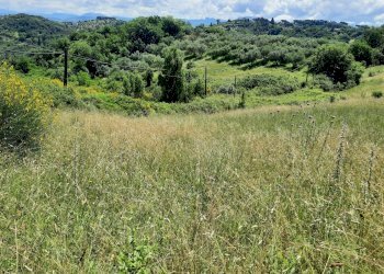 terreno l5.jpg - Terreno agricolo Via delle Grotte 2920, Morlupo - foto 6