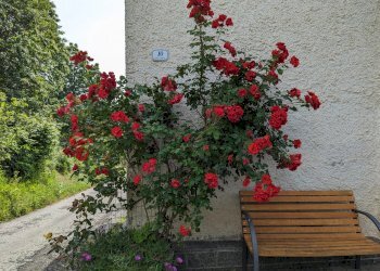 Independent house Moiola, Tetto Carletto, Moiola - photo 45