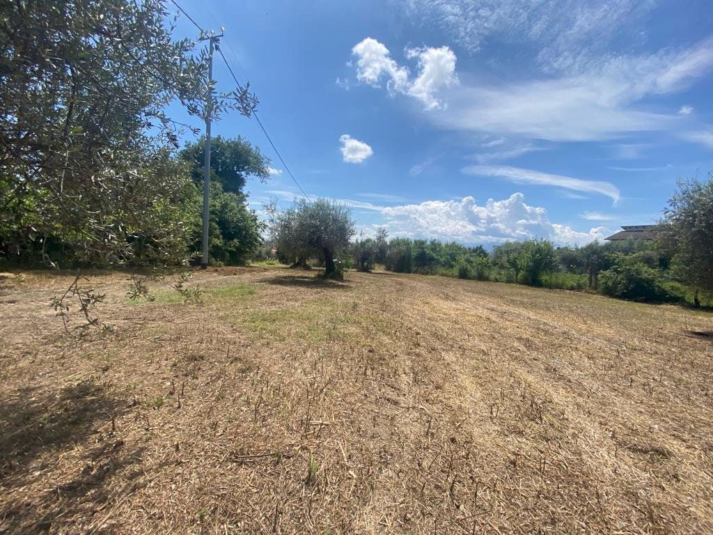 Immagine WhatsApp 2023-06-23 ore 10.54.33terrenoed - Building land Via Querceto, Cepagatti - photo 1