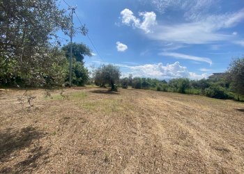 Immagine WhatsApp 2023-06-23 ore 10.54.33terrenoed - Terreno edificabile Via Querceto, Cepagatti - foto 1