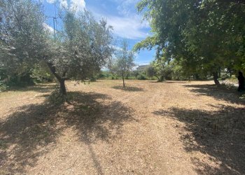 Immagine WhatsApp 2023-06-23 ore 10.54.33.jpg - Terreno edificabile Via Querceto, Cepagatti - foto 3