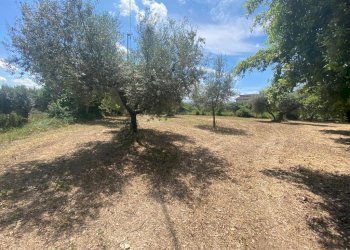 d.jpg - Terreno edificabile Via Querceto, Cepagatti - foto 4