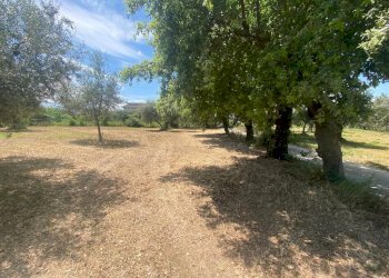 g.jpg - Terreno edificabile Via Querceto, Cepagatti - foto 5