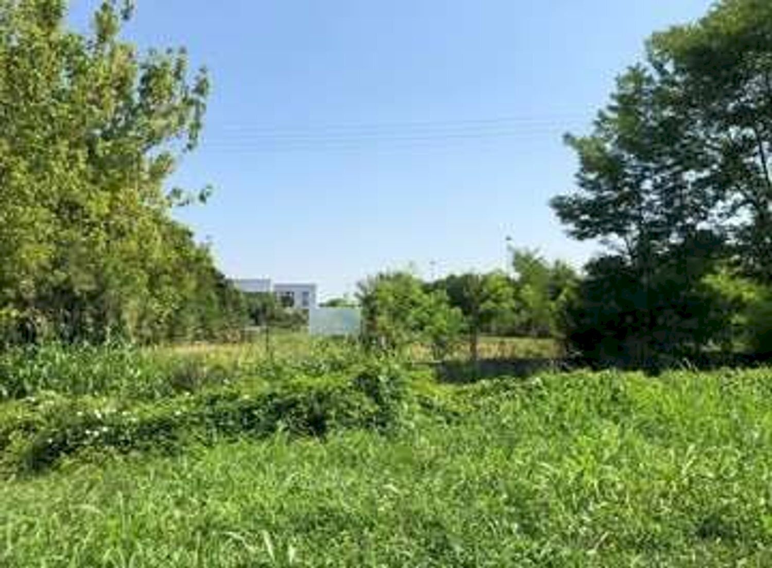 Terreno edificabile Sassuolo - foto 3