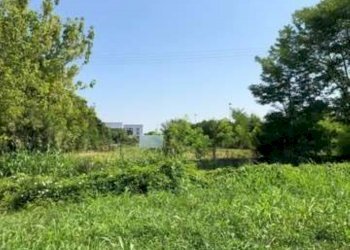 Terreno edificabile Sassuolo - foto 3