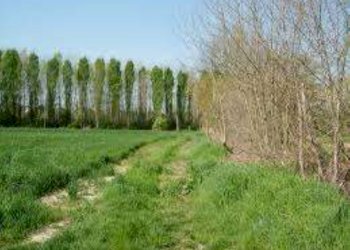 Terreno edificabile Sassuolo - foto 8