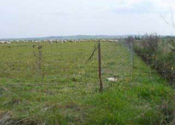 Terreno edificabile Sassuolo - foto 9