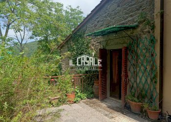 1porzionerincine.jpg - Rustico Londa - foto 1