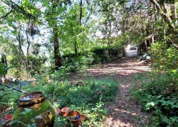 14porzionerincine.jpg - Rustico Londa - foto 12