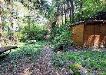 15porzionerincine.jpg - Rustico Londa - foto 13