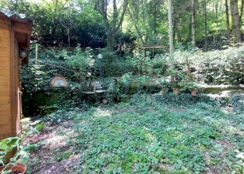 17porzionerincine.jpg - Rustico Londa - foto 15