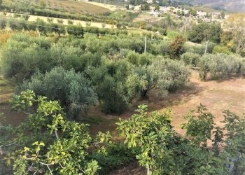 Rustico Via Roma, Castel di Lama - foto 3