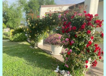 ca10.jpg - Villa Carrara - foto 11