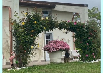 ca11.jpg - Villa Carrara - foto 12