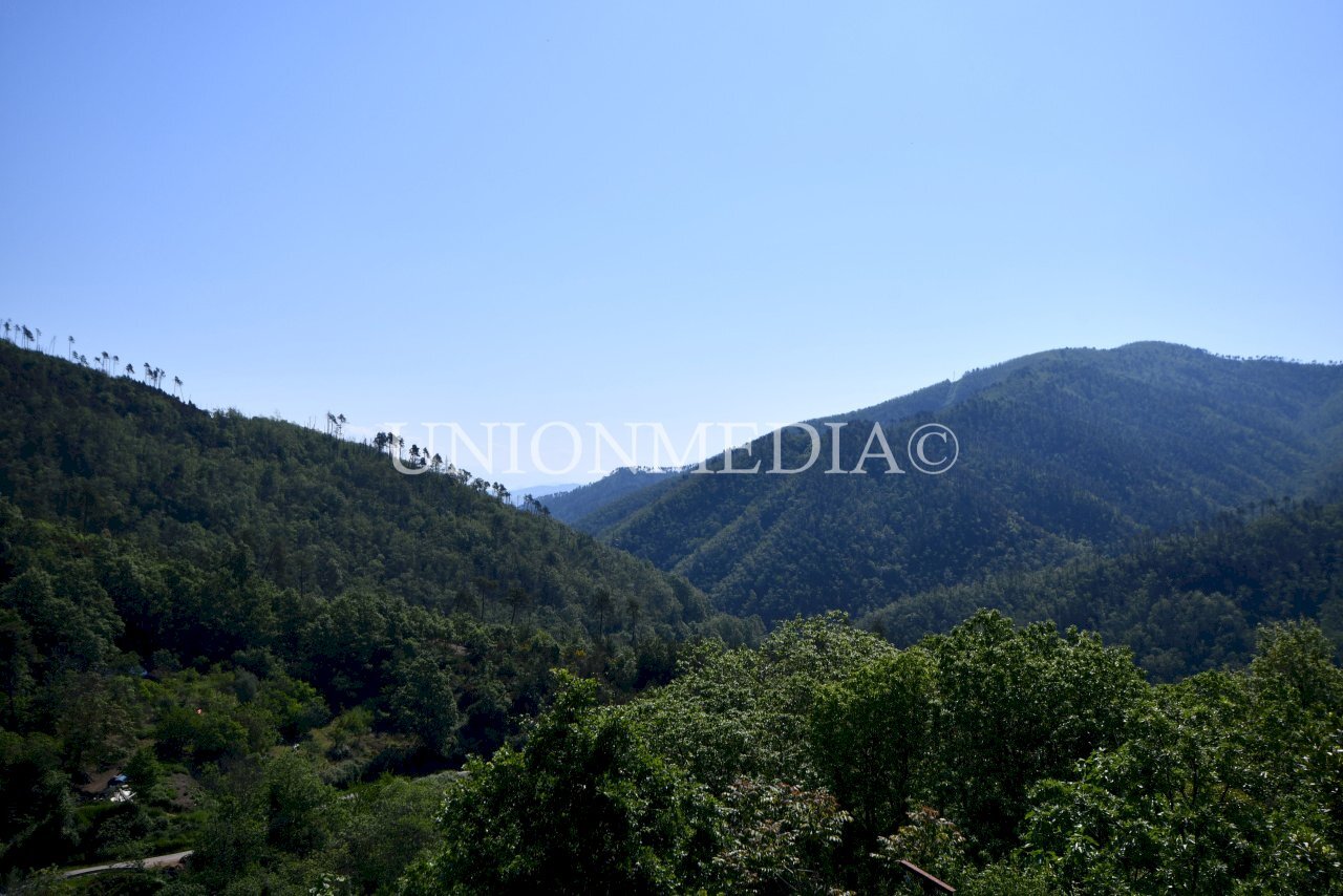 1.jpg - Semi-detached house SP38 1, Monterosso al Mare - photo 2