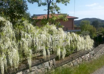 14.jpg - Casa semi indipendente SP38 1, Monterosso al Mare - foto 14